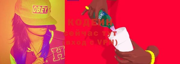 индика Вязьма