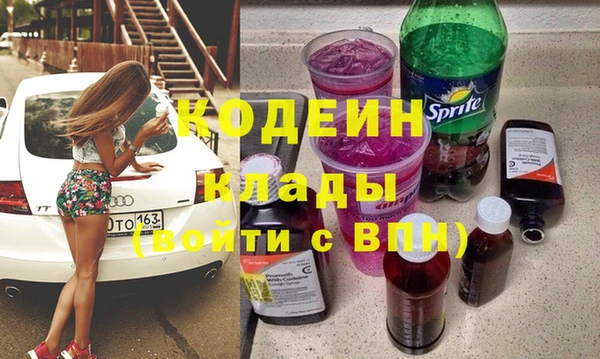 индика Вязьма