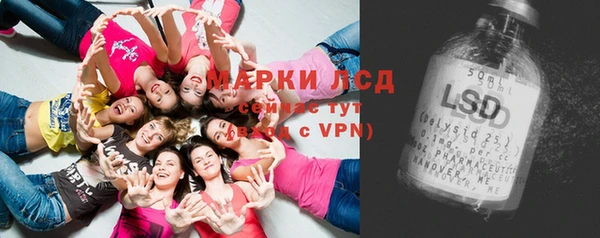индика Вязьма