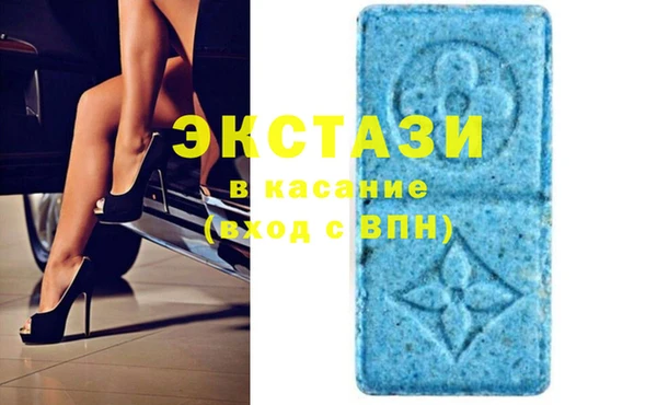 индика Вязьма