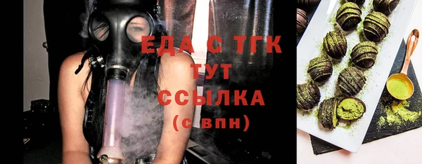 индика Вязьма
