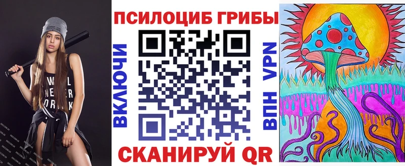 Псилоцибиновые грибы ЛСД  купить закладку  блэк спрут как зайти  Бердск 